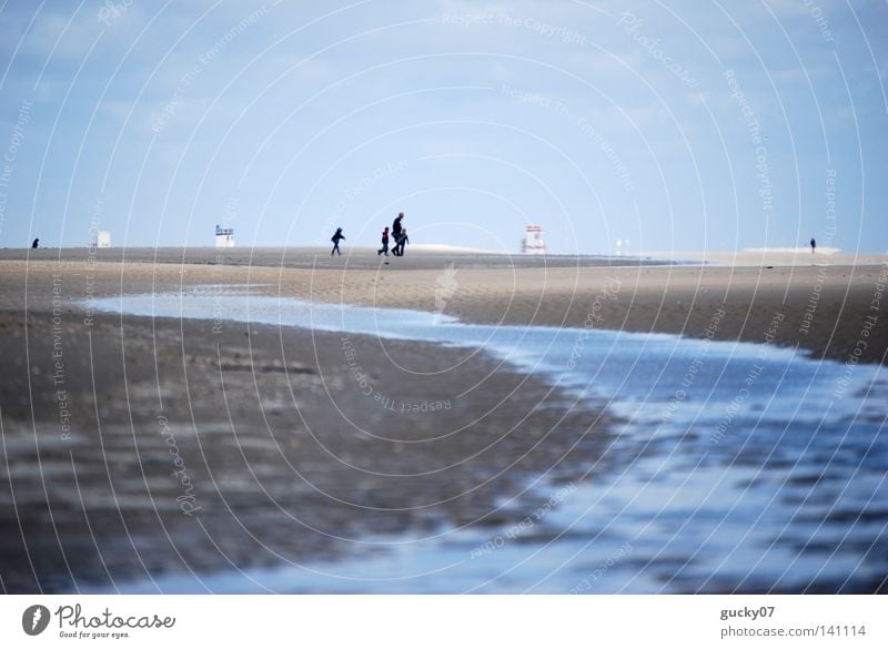 Strand Amrum Nordsee Meer Ebbe Flut Wassermassen Sand Gezeiten Priel Spaziergang Ferne Horizont Meerwasser Ferien & Urlaub & Reisen Sommer Deutschland