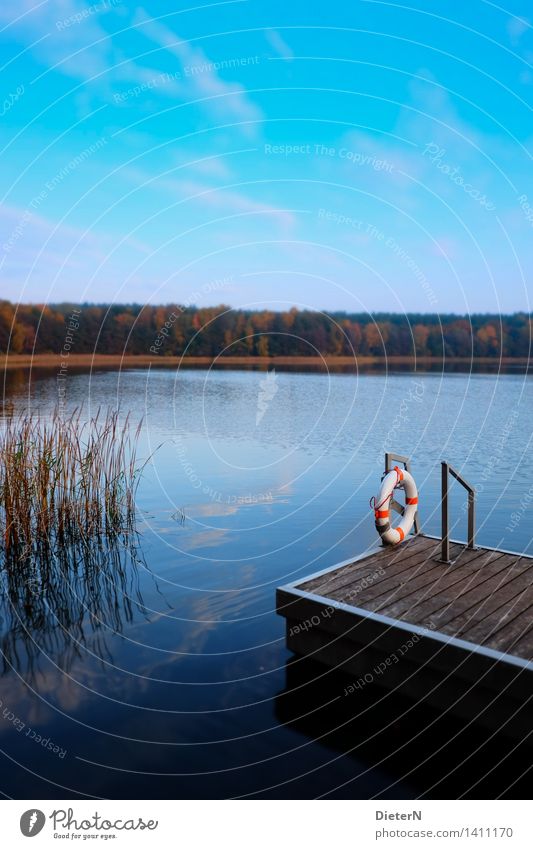 Sicherheit Natur Landschaft Wasser Himmel Wolken Herbst Gras Seeufer blau schwarz weiß Rettungsring Steg Schilfrohr Küste Farbfoto mehrfarbig Außenaufnahme