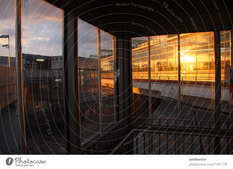 Lieblingsbauwerk Haus Gewächshaus Baustelle Bauwerk Fassade Glasfassade Sonne Abendsonne Reflexion & Spiegelung Fenster Fensterrahmen Neubau Architektur Berlin