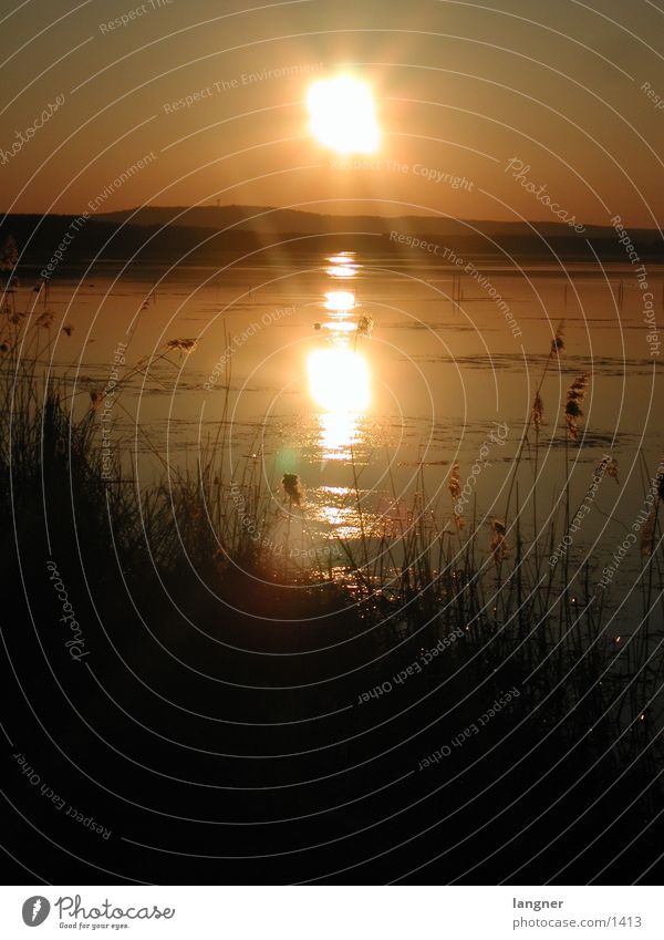 Steinhuder Meer See Sonne Abendstimung Sonnenuntergang