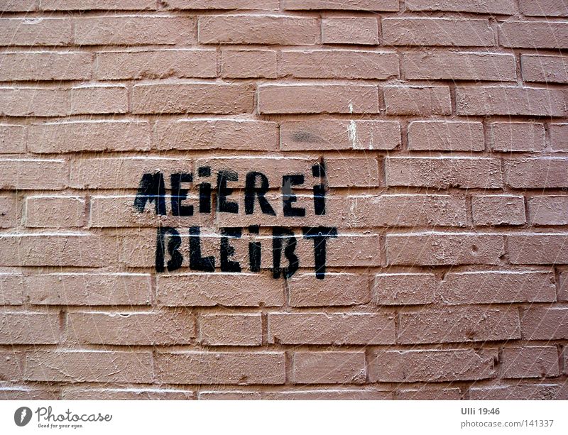 Mensch, Meier! Bleib doch! Farbfoto Außenaufnahme Detailaufnahme Textfreiraum unten Tag Zentralperspektive Haus Mauer Wand Stein Backstein Graffiti Wut rosa