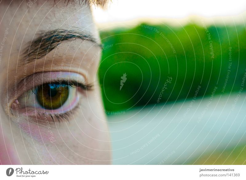 Eva´s look Auge Gesicht Frau Baum Wimpern Augenbraue Maronen Cordoba Niederlage Wut Ärger Blick