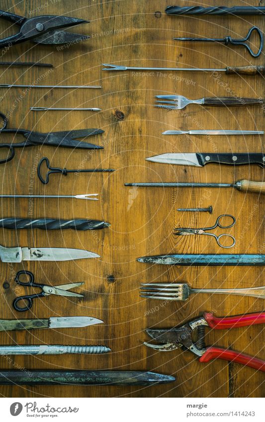 Spitz auf spitz: viele Spitze Gegenstände Beruf Handwerker Gartenarbeit Dienstleistungsgewerbe Werkzeug Schere Bohrmaschine Holz Metall blau braun silber