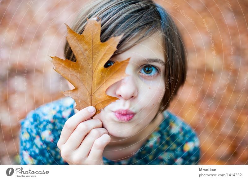 Huhu Mädchen Jugendliche 1 Mensch 8-13 Jahre Kind Kindheit Küssen Herbst hell herbstlich Herbstlaub Herbstfärbung mädchenhaft Mädchengesicht Mädchenauge