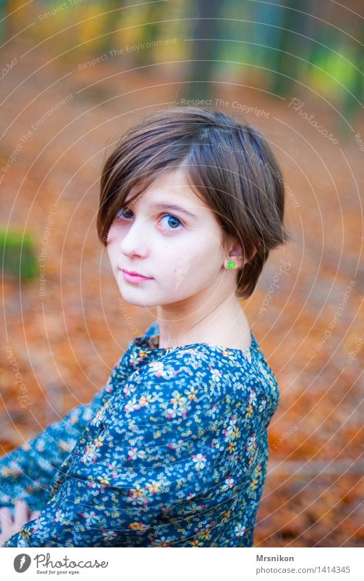 in the wood Mensch feminin Mädchen Kindheit 1 8-13 Jahre Lächeln Blick sitzen Herbst herbstlich Wald Waldboden mädchenhaft Mädchengesicht schön Jugendliche