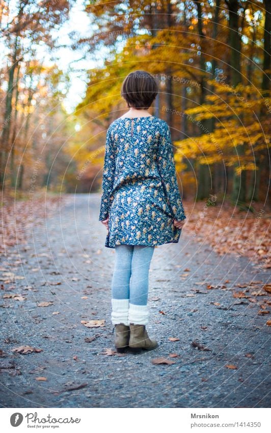 Warten Mensch feminin Kind Mädchen Kindheit Jugendliche Leben 1 8-13 Jahre natürlich Einsamkeit einzeln warten Ruhestand Blick Herbst herbstlich Herbstfärbung