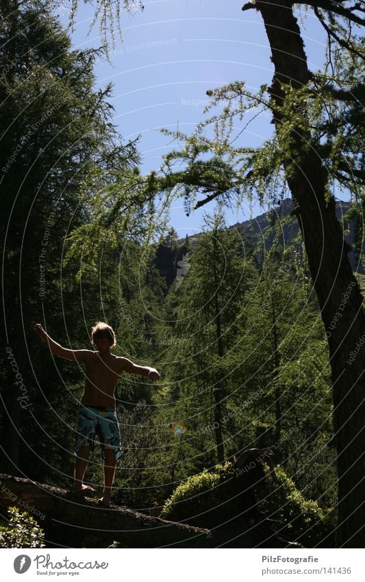 Balance Zufriedenheit Gleichgewicht Baum Wald Natur Gras blau Himmel Jugendliche Freude wandern Berge u. Gebirge Barfuß Moos Baumstamm Holz Badehose