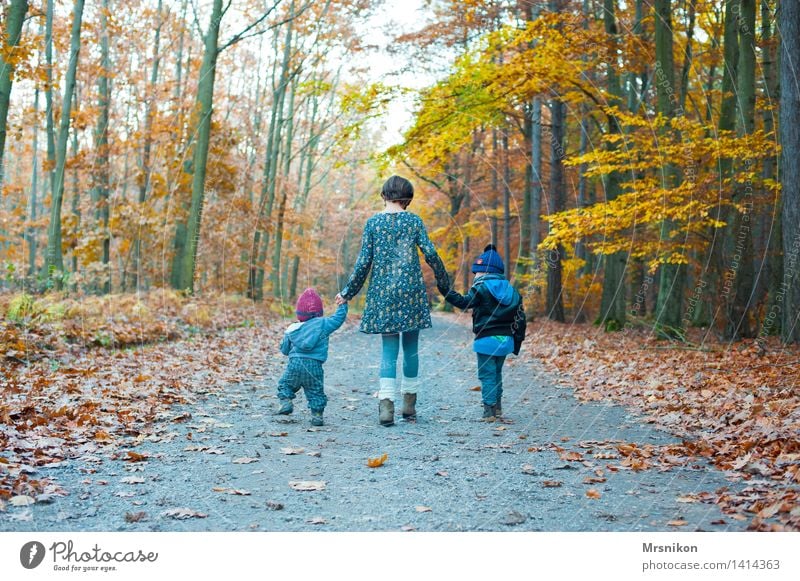 Herbstspaziergang Mensch Kind Kleinkind Mädchen Junge Geschwister Bruder Schwester Familie & Verwandtschaft Kindheit 3 0-12 Monate Baby 1-3 Jahre 3-8 Jahre