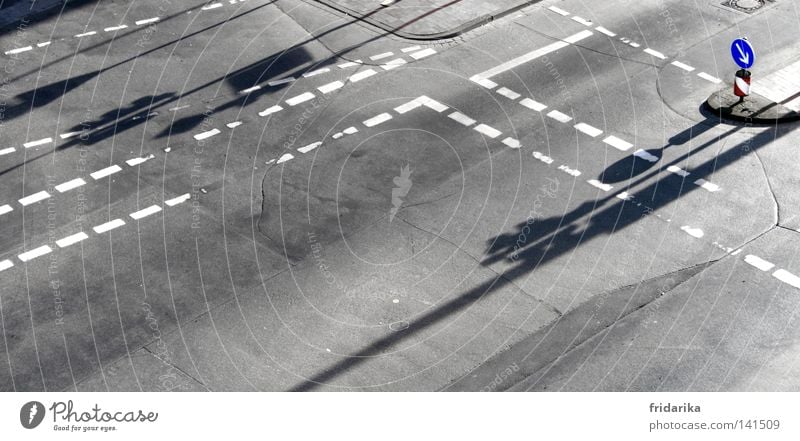 schatten im weg Menschenleer Verkehr Verkehrsmittel Verkehrswege Straße Wege & Pfade Wegkreuzung Ampel Verkehrszeichen Verkehrsschild Schilder & Markierungen