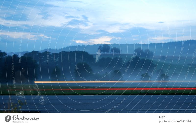 Geisterfahrer Landschaft Nebel Baum Wald Verkehrswege Straße Kleinmotorrad fahren Zeit Geister u. Gespenster Autoscheinwerfer Landstraße rollerfahrer