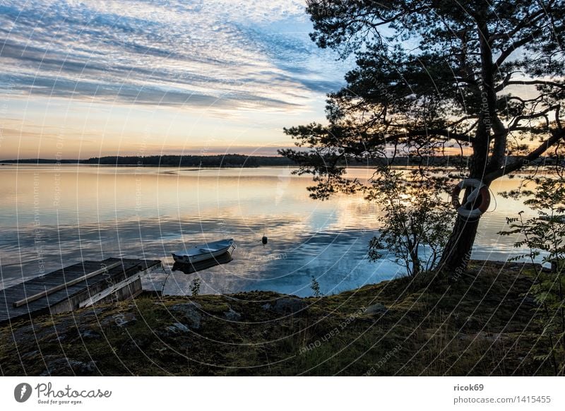 Schären an der schwedischen Küste Erholung Ferien & Urlaub & Reisen Tourismus Insel Natur Landschaft Wolken Baum Ostsee Meer Wasserfahrzeug blau grün Stimmung