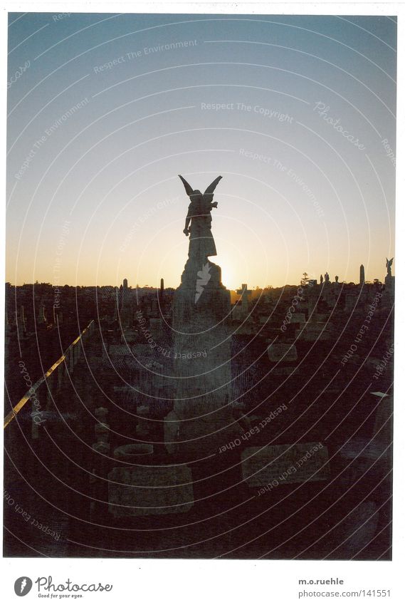 fino alla morte Friedhof Sehnsucht Todesbote Engel Statue Skulptur Grabstein Sydney Australien Sensenmann Schicksal Einsamkeit Ende Grabschmuck Christentum