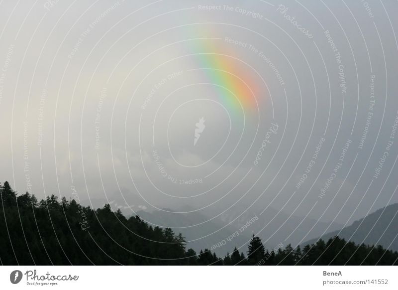 Regenbögchen Regenbogen Wolken Wald Baum Silhouette mehrfarbig Regenwolken Farbfleck Fleck Wetter Licht dunkel tief schlechtes Wetter glänzend Fröhlichkeit