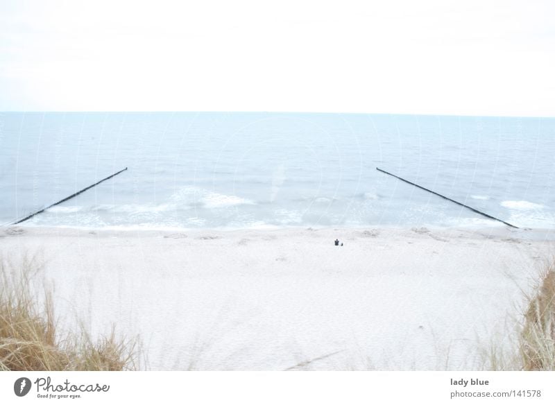 Ruhe Strand Ferien & Urlaub & Reisen Wellen Meer Freizeit & Hobby frei Freiheit Küste Klippe hell Gras ruhen ruhig Frieden Usedom Insel Deutschland Sommer