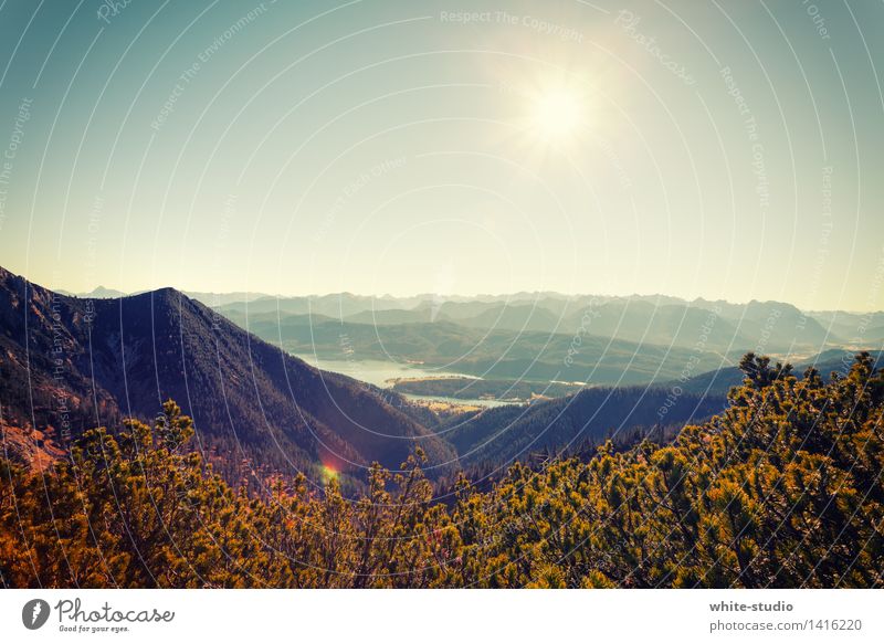 Schichten über Schichten Sommer Sommerurlaub Berge u. Gebirge wandern Wolkenloser Himmel Wald Felsen Alpen Gipfel Dunst abgelegen Nebel hoch Wandertag