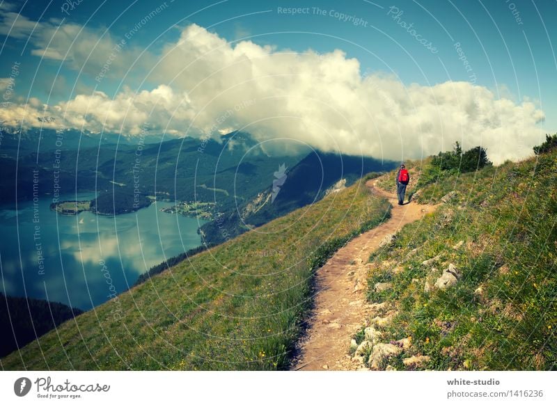 Ab in die Wolken! Sport Fitness Sport-Training Klettern Bergsteigen Sportler wandern Mensch feminin Junge Frau Jugendliche Erwachsene Leben 1 18-30 Jahre