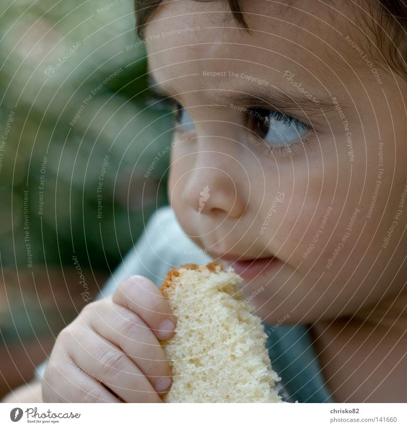 Finger weg!!! Junge Kleinkind Kind Ernährung Versuch Nachbar süß niedlich Knopfauge Kinderaugen Wimpern Wange Sommer Geschmackssinn Denken träumen skeptisch