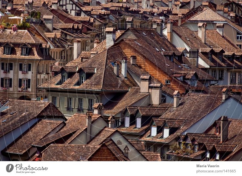 Über den Dächern Berns Schweiz Kanton Bern Haus Dach Fenster Schornstein Backstein Dachziegel Holzschindel Gebäude Unterkunft Stadt Örtlichkeit Dachgeschoss