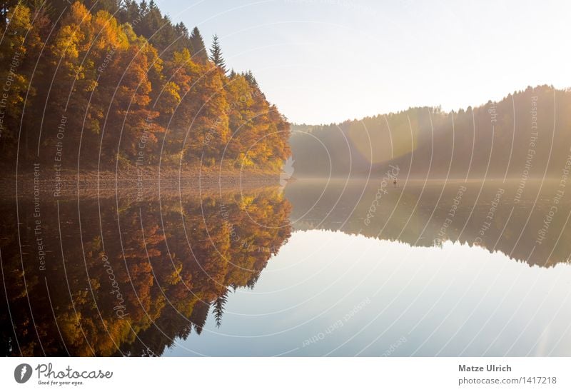 Waldsee 1 Umwelt Natur Landschaft Wasser Himmel Sonne Sonnenlicht Herbst Schönes Wetter Hügel Seeufer Agger Stausee Aggertalsperre ruhig Spiegelbild