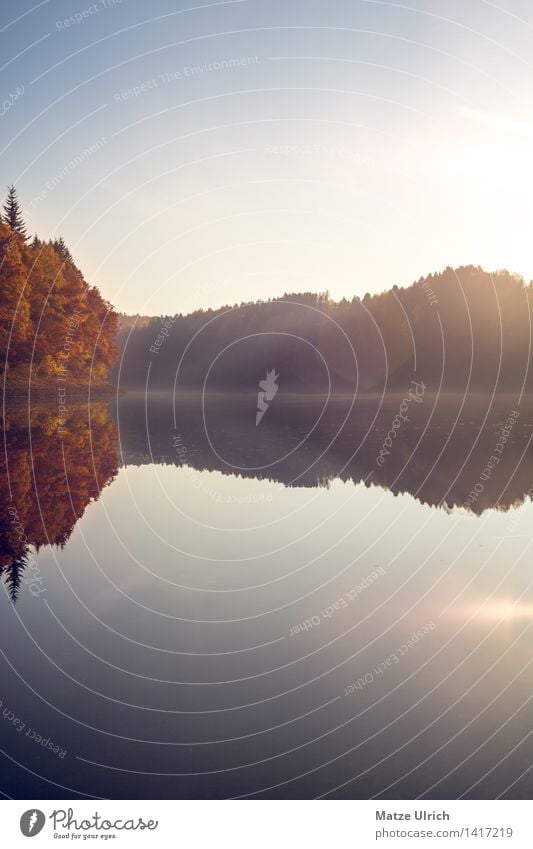 Waldsee 2 Umwelt Natur Landschaft Wasser Himmel Sonne Sonnenaufgang Sonnenuntergang Sonnenlicht Herbst Schönes Wetter Baum Hügel Seeufer Insel Talsperre