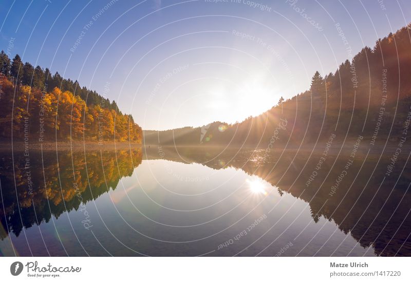 Waldsee 3 Umwelt Natur Landschaft Wasser Himmel Sonne Sonnenaufgang Sonnenuntergang Sonnenlicht Herbst Schönes Wetter Baum Hügel Seeufer Talsperre Stausee