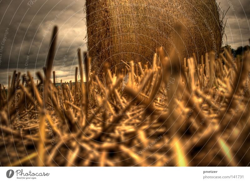 Strohballen gelb HDR Wolken bedrohlich Landwirtschaft klein Himmel Sommer gold high dynamic range Perspektive Bodenbelag