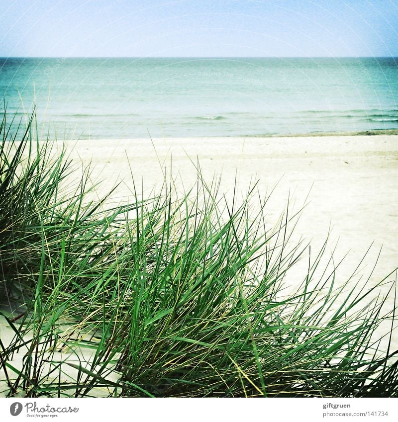 another day at the beach Prerow Darß Strand Meer Strandspaziergang Horizont Ferien & Urlaub & Reisen ruhig Lomografie Küste Wasser Ostsee Sand Spaziergang