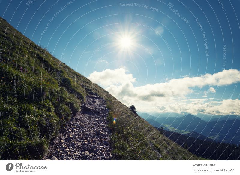 Wandertag Umwelt Natur Landschaft wandern Wanderpfad Fußweg Alpen Alpenvorland Spaziergang Sonne Schönes Wetter Berge u. Gebirge Hügel grün Sommer Sommerurlaub