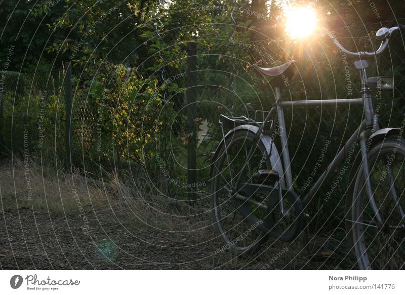 rad ruhig Freizeit & Hobby Spielen Ferien & Urlaub & Reisen Ferne Freiheit Sonne Fahrrad Natur Sträucher Verkehr alt einfach frei nachhaltig retro Stimmung