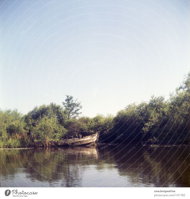 schiffsfriedhof Meer Umwelt Wasser Seeufer Flussufer Ostsee Wasserfahrzeug Holz alt blau Umweltschutz Nationalpark Naturschutzgebiet Friedhof Schiffswrack