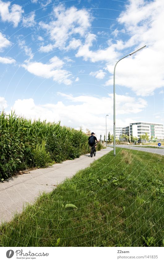 heimweg Fahrradweg Stil Laterne Feld grün Wiese Verkehr Gebäude Garching Sommer Wolken Kraft Mensch Wege & Pfade Straße hochbrück Kontrast Himmel Sonne blau