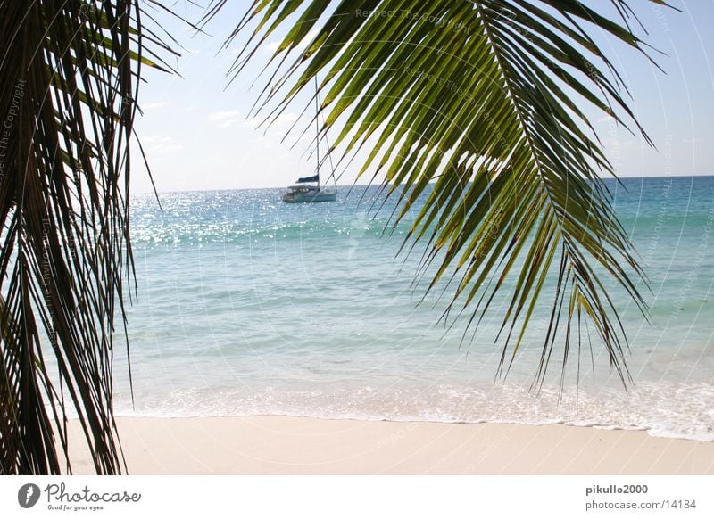 strandblick Strand Meer Wasserfahrzeug Ferien & Urlaub & Reisen Zufriedenheit Sand