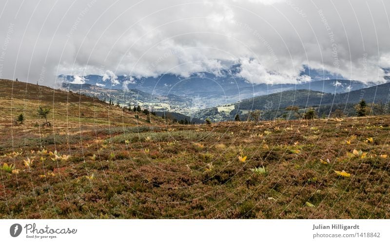 Weide ohne Kuh Lifestyle Freizeit & Hobby Ferien & Urlaub & Reisen Ausflug Sommerurlaub Berge u. Gebirge wandern Umwelt Natur Landschaft ästhetisch Einsamkeit