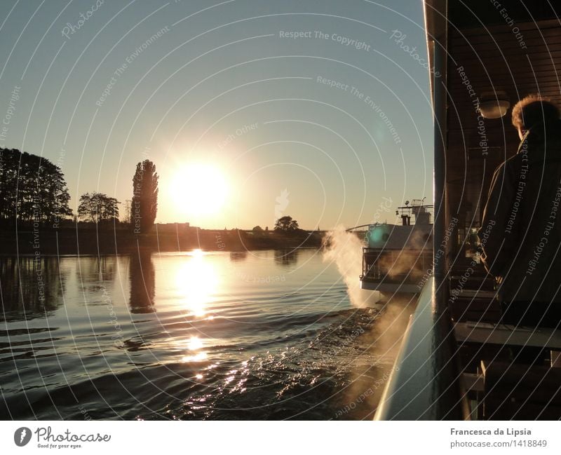 Elbfahrt Städtereise Kreuzfahrt Sonne Wellen maskulin Erwachsene 1 Mensch Landschaft Wasser Wolkenloser Himmel Sonnenaufgang Sonnenuntergang Sonnenlicht