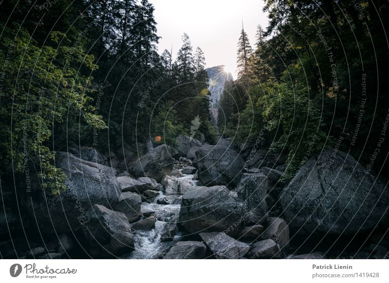 Little Yosemite Valley Wellness Leben harmonisch Wohlgefühl Zufriedenheit Sinnesorgane Erholung ruhig Meditation Tourismus Ausflug Abenteuer Ferne Freiheit