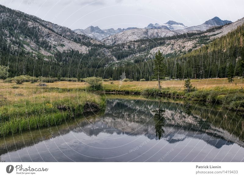 Lyell Canyon Tourismus Ausflug Abenteuer Ferne Freiheit Umwelt Natur Landschaft Urelemente Erde Wasser Himmel Sommer Klima Klimawandel Wetter Schönes Wetter