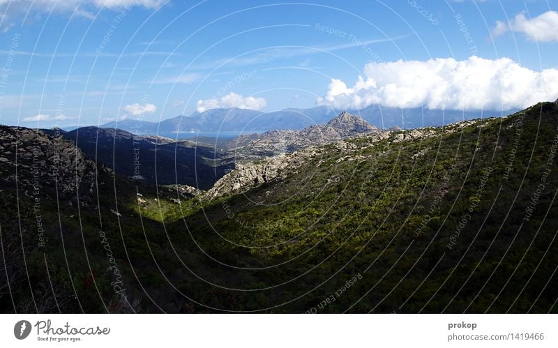 Landschaft Umwelt Natur Himmel Wolken Sonnenlicht Sommer Klima Schönes Wetter Wald Hügel Berge u. Gebirge Küste Bucht Wärme Ferien & Urlaub & Reisen Freiheit