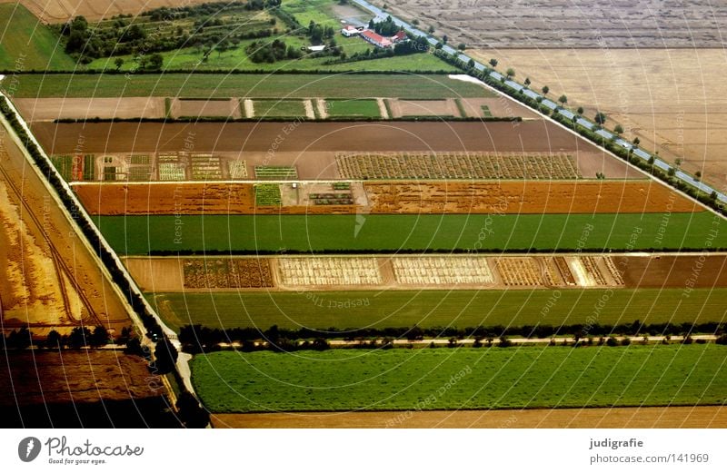 Feld- und Wiesengeometrie Baum Allee Bauernhof Haus Landwirtschaft Geometrie Straße Linie Strukturen & Formen Ackerbau Aussaat Ernährung Ernte grün braun