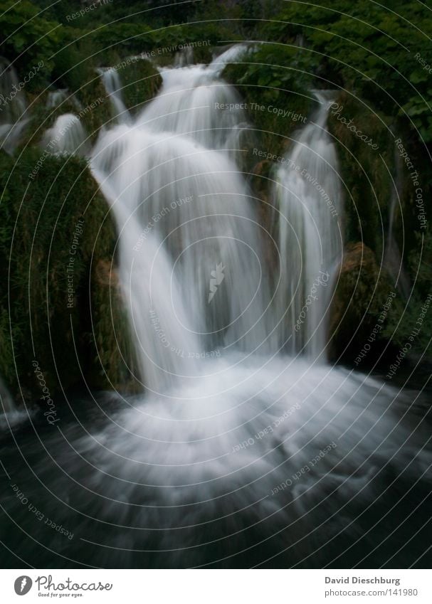 Wasserfall deluxe* Meteorologie Wetter Flüssigkeit nass fließen Bewegung Natur Moos Strömung Romantik Langzeitbelichtung hell dunkel grün gefroren Wald Baum See