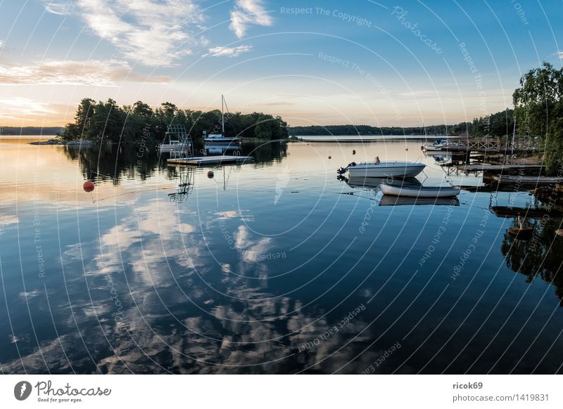 Schärengarten an der schwedischen Küste Erholung Ferien & Urlaub & Reisen Tourismus Insel Natur Landschaft Wolken Baum Ostsee Segelschiff Wasserfahrzeug blau