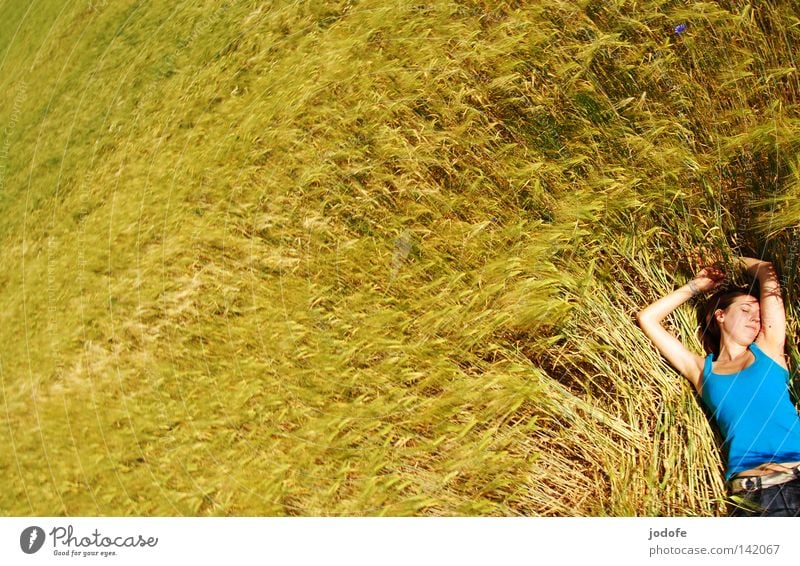 feelings. Frau Kornfeld Ähren Feld Ackerbau gelb grün liegen schlafen Halbschlaf Erholung Pause genießen Sonnenbad Frühling Landwirtschaft Lebensmittel Gerste