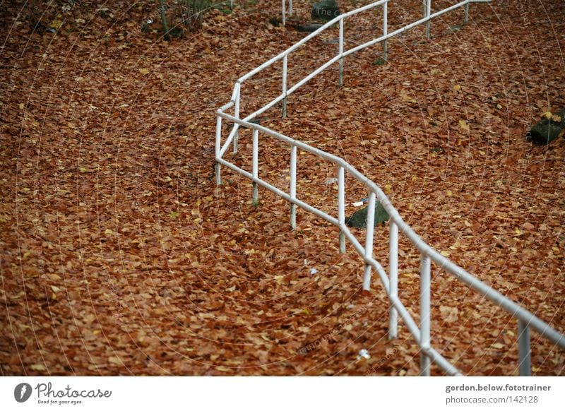 Weglos Herbst Wege & Pfade Treppengeländer Blatt Linie planlos Verkehrswege Waldboden