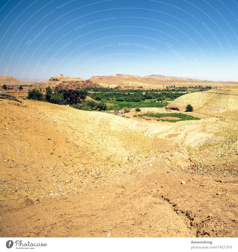 Oase Umwelt Natur Landschaft Erde Sand Himmel Wolkenloser Himmel Sommer Wetter Schönes Wetter Wärme Pflanze Baum Hügel Wüste Ait Benhaddou Marokko Kleinstadt