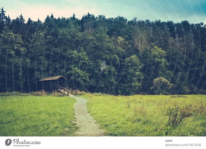 Das Schweigen vor dem Wald Erholung ruhig Kur Freizeit & Hobby Ausflug Landwirtschaft Forstwirtschaft Umwelt Natur Landschaft Pflanze Himmel Sommer Wiese Hütte