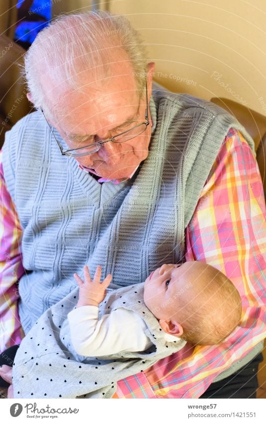 Begegnung Mensch maskulin Baby Mädchen Großvater 2 0-12 Monate 60 und älter Senior alt klein grau rosa rot weiß Glück Sympathie Interesse Stolz Urgroßvater