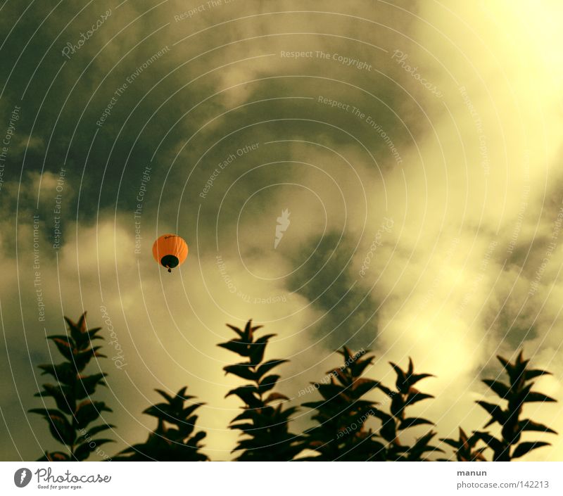 Himmelfahrt Ballone Wolken Baum Baumkrone Blatt Luft Brise frisch Ereignisse fahren Abenteuer Kick Aussicht Freizeit & Hobby gelb grün weiß Licht Physik