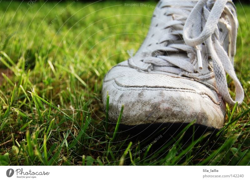 Treuer Begleiter Schuhe Schuhbänder Schuhmarken Hand alt abgelaufen kaputt ausgelaufen ausgefranst leer unordentlich schäbig gebraucht gebrauchen versöhnen