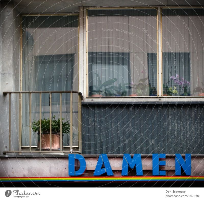 Tristesse-Cologne Balkon Fenster Glas Fensterscheibe Dame Schriftzeichen Regenbogen Fassade Haus Buchstaben trist Ödland Langeweile fade Stadt Architektur