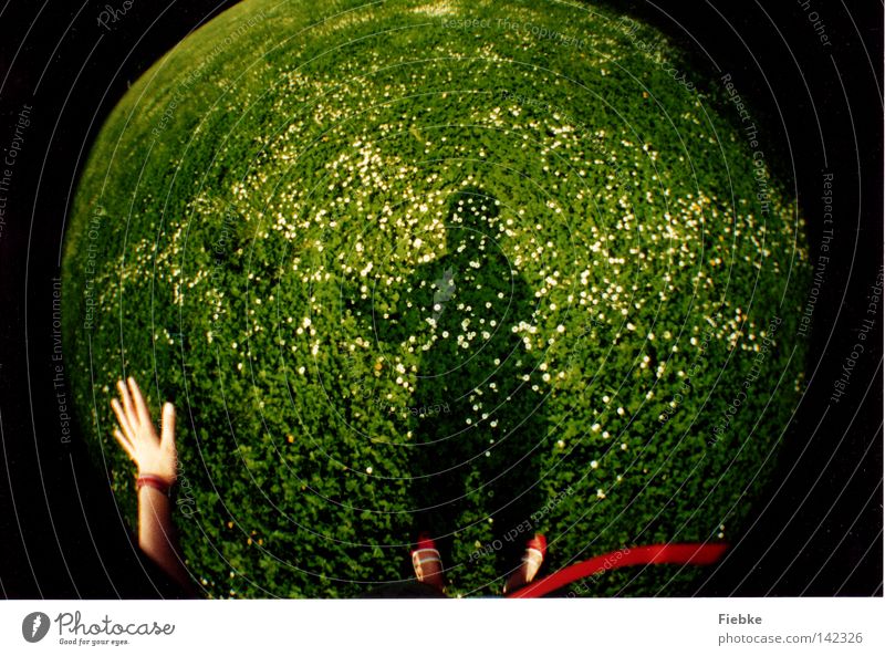 Planet Gänseblümchenwiese Gras Blume grün weiß Schatten Halm Hand Fuß Schuhe Schnur rot winken Gruß Hallo Kugel Fischauge Lomografie Pflanze Schönes Wetter