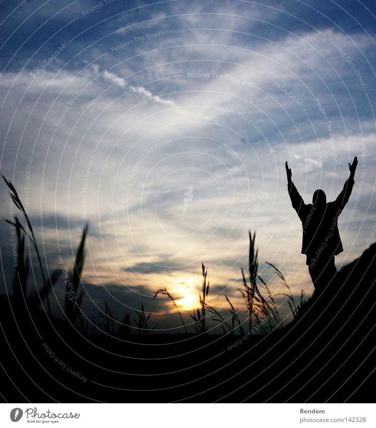 Morgengrauen Freude Glück schön Freiheit Sonne Feierabend Jugendliche Himmel Wolken Gras Wiese dunkel frei Stimmung Fröhlichkeit Lebensfreude Frühlingsgefühle